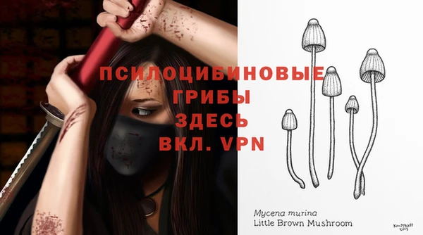 каннабис Баксан