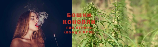 марки lsd Белокуриха