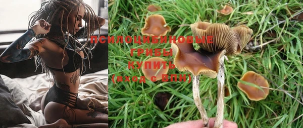 каннабис Баксан