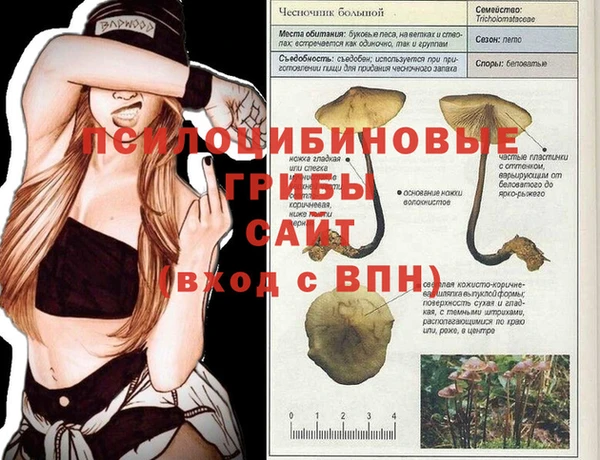 крисы Балахна